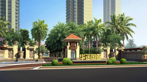 红腿陆龟可以长多大